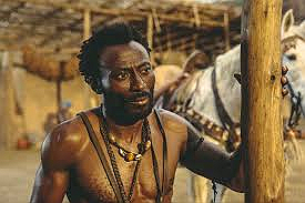 Watchu Know Bout Kunta?