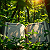 Article: Verses in the Verdure: The Quran Amidst Eternal Green